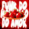 Обложка песни FUNK DO AMOR