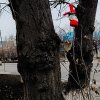 Обложка песни моя мама лудоманка