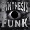 Обложка песни SYNTHESIS FUNK
