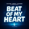 Обложка песни Beat of My Heart