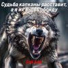 Обложка песни Судьба капканы расставит, а я их вновь обойду