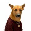 Обложка песни REX