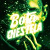 Обложка песни BOTA CHESTALA
