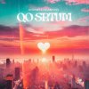 Обложка песни Qo Srtum