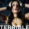 Обложка песни Terrible