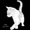 Обложка песни Kitty meow