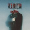 Обложка песни It's Not You