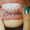 Обложка песни Стерва