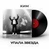 Обложка песни Упала звезда