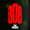 Обложка песни 808