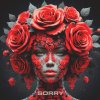 Обложка песни Sorry