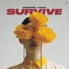 Обложка песни Survive