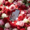 Обложка песни айФон