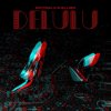 Обложка песни Delulu