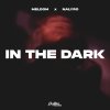 Обложка песни In The Dark